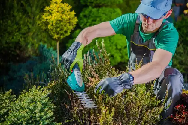 landscaping services Stony Ridge